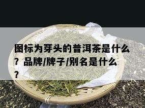 图标为芽头的普洱茶是什么？品牌/牌子/别名是什么？