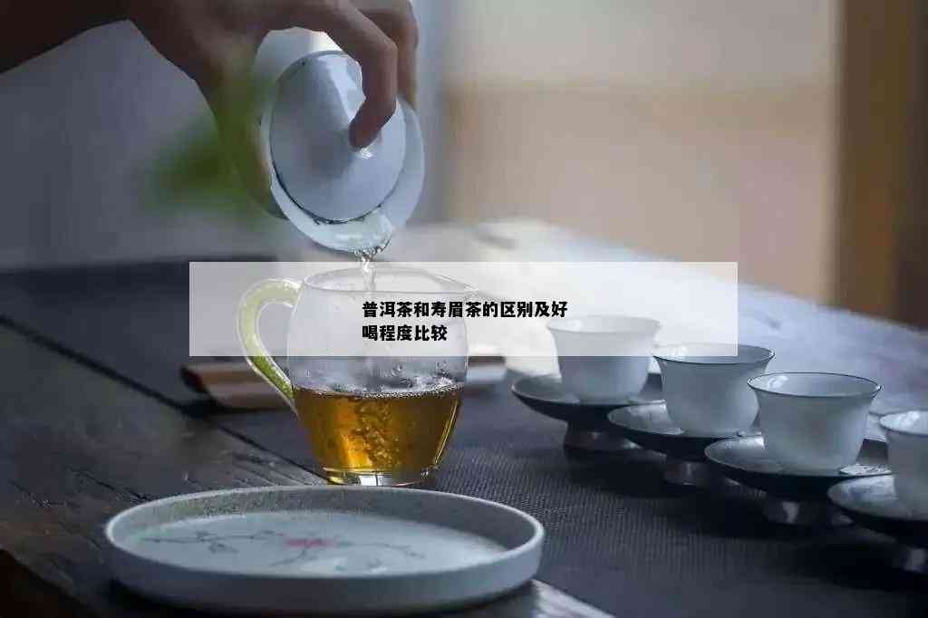 普洱茶和寿眉茶的区别及好喝程度比较