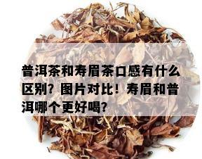 普洱茶和寿眉茶口感有什么区别？图片对比！寿眉和普洱哪个更好喝？