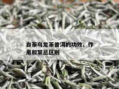 白茶乌龙茶普洱的功效、作用和禁忌区别