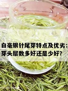 白毫银针尾芽特点及优劣：芽头层数多好还是少好？