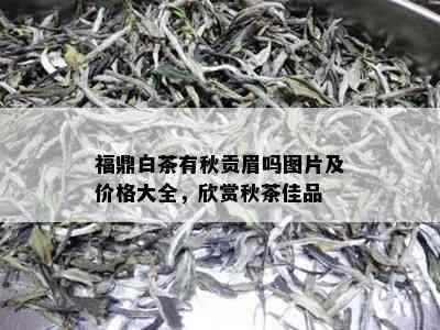 福鼎白茶有秋贡眉吗图片及价格大全，欣赏秋茶佳品