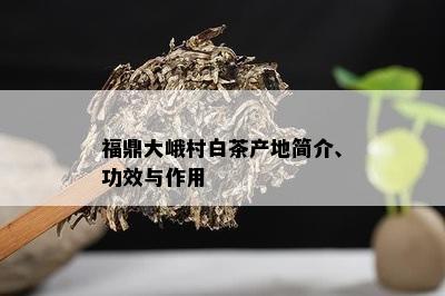 福鼎大峨村白茶产地简介、功效与作用