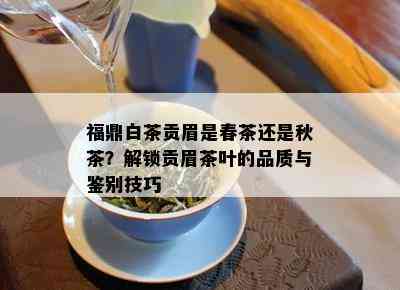 福鼎白茶贡眉是春茶还是秋茶？解锁贡眉茶叶的品质与鉴别技巧