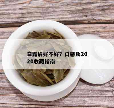 白露眉好不好？口感及2020收藏指南