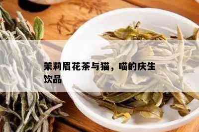 茉莉眉花茶与猫，喵的庆生饮品