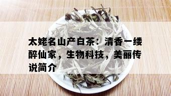 太姥名山产白茶：清香一缕醉仙家，生物科技，美丽传说简介