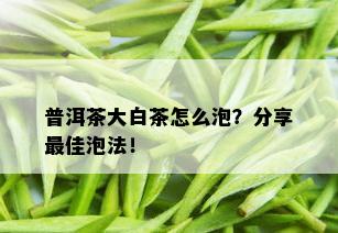 普洱茶大白茶怎么泡？分享更佳泡法！