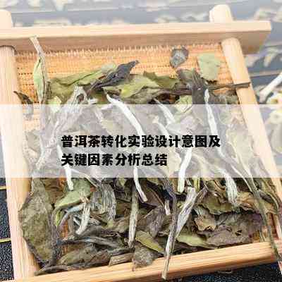 普洱茶转化实验设计意图及关键因素分析总结