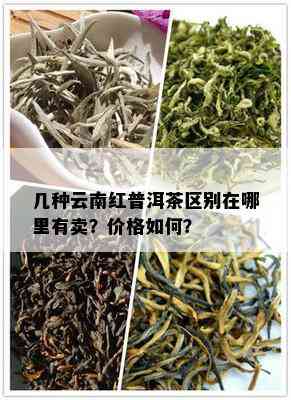 几种云南红普洱茶区别在哪里有卖？价格如何？