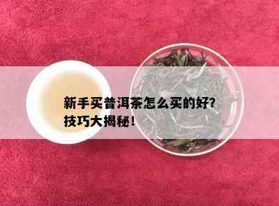 新手买普洱茶怎么买的好？技巧大揭秘！