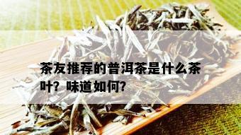 茶友推荐的普洱茶是什么茶叶？味道如何？