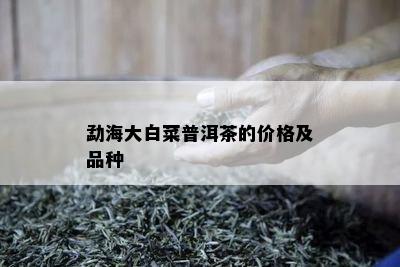 勐海大白菜普洱茶的价格及品种