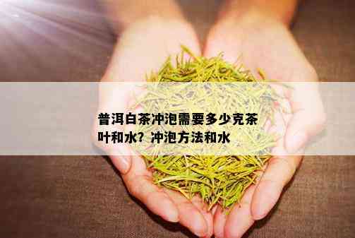 普洱白茶冲泡需要多少克茶叶和水？冲泡方法和水