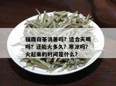 福鼎白茶消暑吗？适合天喝吗？还能火多久？寒凉吗？火起来的时间是什么？