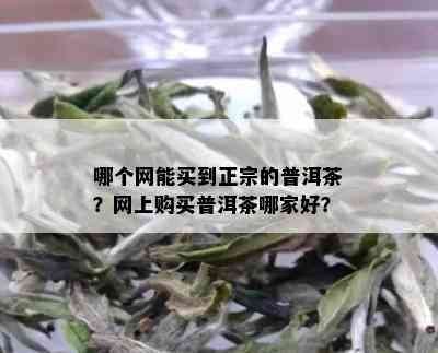 哪个网能买到正宗的普洱茶？网上购买普洱茶哪家好？