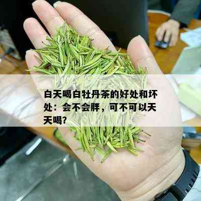 白天喝白牡丹茶的好处和坏处：会不会胖，可不可以天天喝？