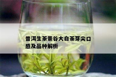 普洱生茶景谷大白茶芽尖口感及品种解析