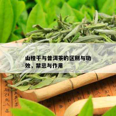 山楂干与普洱茶的区别与功效，禁忌与作用