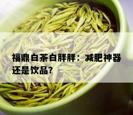 福鼎白茶白胖胖：减肥神器还是饮品？