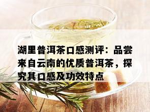 湖里普洱茶口感测评：品尝来自云南的优质普洱茶，探究其口感及功效特点