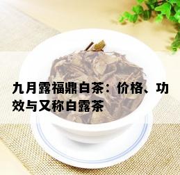 九月露福鼎白茶：价格、功效与又称白露茶