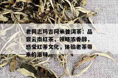 老同志玛吉阿米普洱茶：品尝云南红茶，领略浓香醇，感受红茶文化，体验老茶带来的滋味。