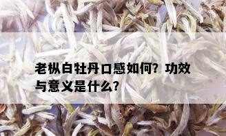 老枞白牡丹口感如何？功效与意义是什么？