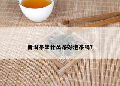 普洱茶里什么茶好泡茶喝？