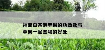 福鼎白茶泡苹果的功效及与苹果一起煮喝的好处