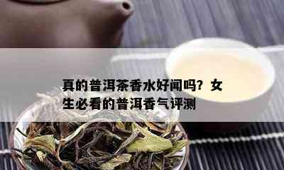 真的普洱茶香水好闻吗？女生必看的普洱香气评测