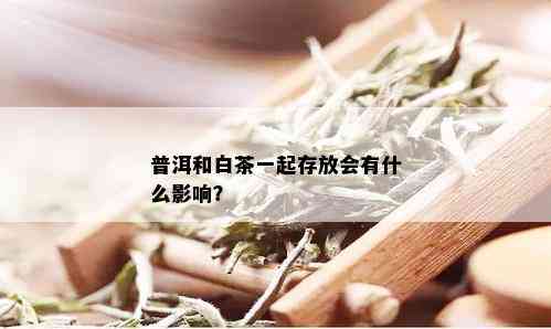 普洱和白茶一起存放会有什么影响？