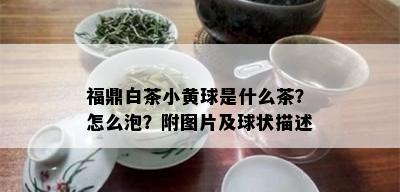 福鼎白茶小黄球是什么茶？怎么泡？附图片及球状描述