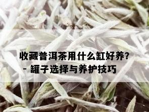 收藏普洱茶用什么缸好养？ - 罐子选择与养护技巧