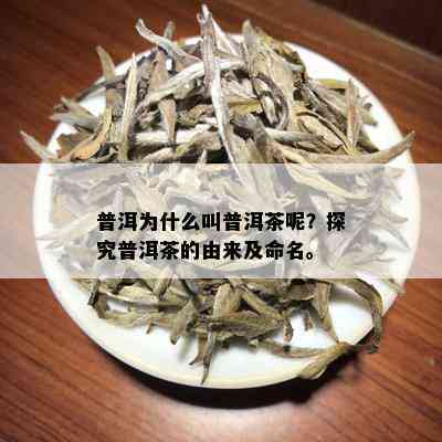 普洱为什么叫普洱茶呢？探究普洱茶的由来及命名。