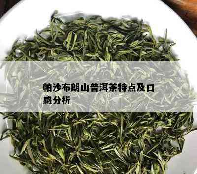 帕沙布朗山普洱茶特点及口感分析