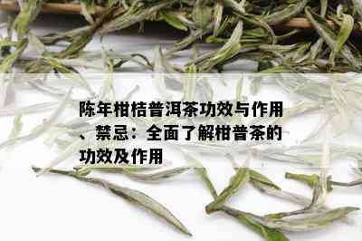 陈年柑桔普洱茶功效与作用、禁忌：全面了解柑普茶的功效及作用