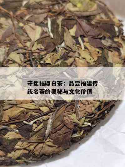 守拙福鼎白茶：品尝福建传统名茶的奥秘与文化价值