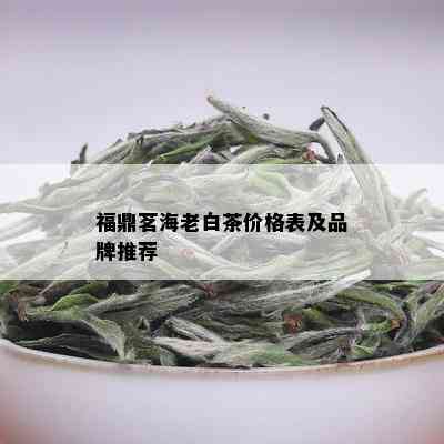 福鼎茗海老白茶价格表及品牌推荐