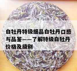 白牡丹特级细品白牡丹口感与品鉴——了解特级白牡丹价格及级别