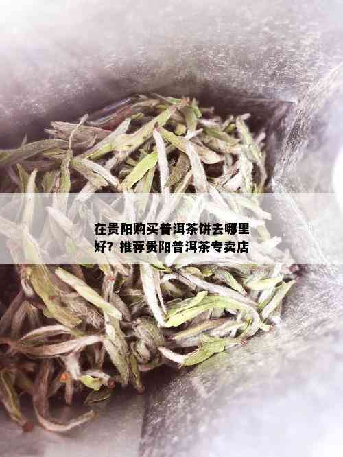 在贵阳购买普洱茶饼去哪里好？推荐贵阳普洱茶专卖店