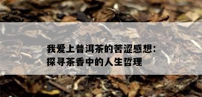 我爱上普洱茶的苦涩感想：探寻茶香中的人生哲理