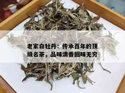 老家白牡丹：传承百年的顶级名茶，品味清香回味无穷