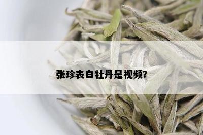 张珍表白牡丹是视频？