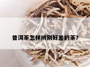 普洱茶怎样辨别好差的茶？