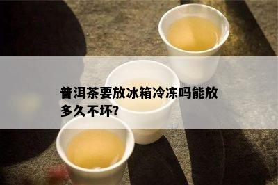 普洱茶要放冰箱冷冻吗能放多久不坏？