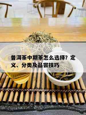 普洱茶中期茶怎么选择？定义、分类及品尝技巧