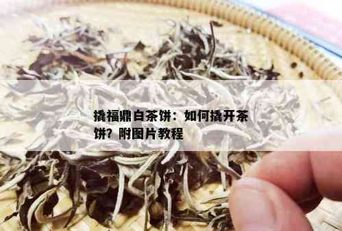 撬福鼎白茶饼：如何撬开茶饼？附图片教程