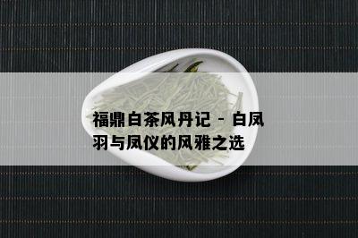 福鼎白茶风丹记 - 白凤羽与凤仪的风雅之选