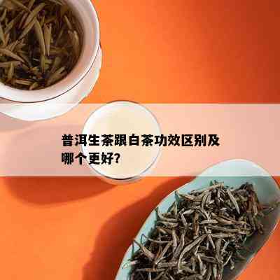 普洱生茶跟白茶功效区别及哪个更好？